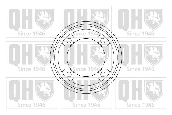 Brake Disc (BDC3301)