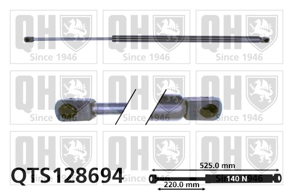 Gas Spring, rear window (QTS128694)