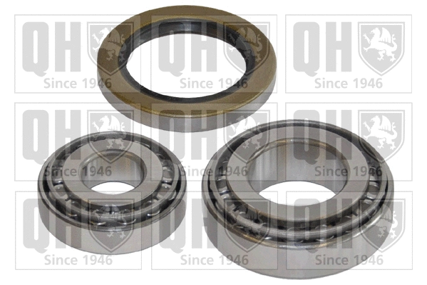 Wheel Bearing Kit (QWB666)