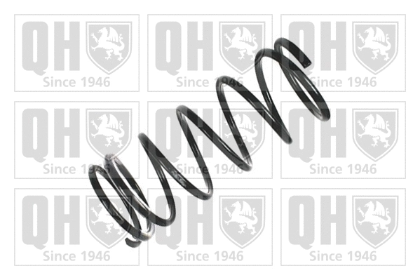 Suspension Spring (QCS6211)