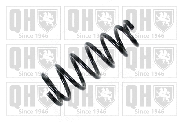 Suspension Spring (QCS5564)