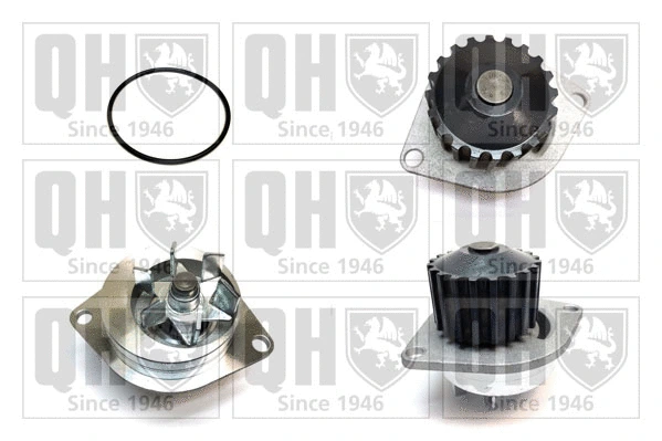 Water Pump, engine cooling (QCP3165)