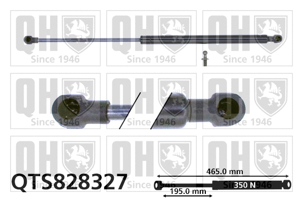 Gas Spring, boot/cargo area (QTS828327)