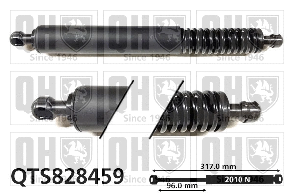 Gas Spring, boot/cargo area (QTS828459)