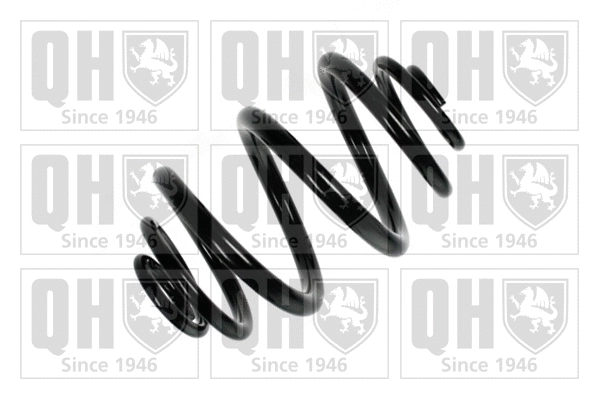 Suspension Spring (QCS6107)