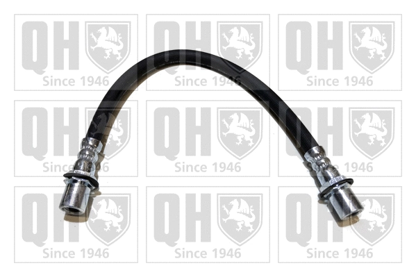 Brake Hose (BFH4600)