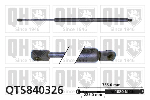 Gas Spring, boot/cargo area (QTS840326)