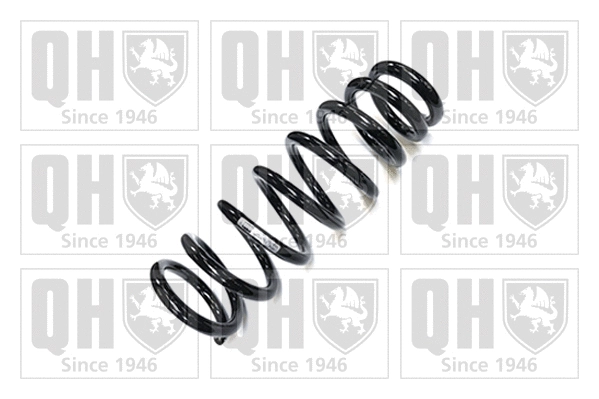 Suspension Spring (QCS6764)