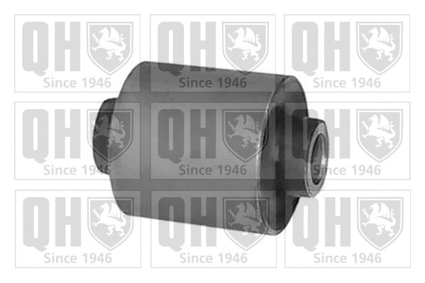 Mounting, control/trailing arm (EMS8254)