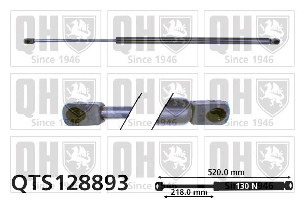 Gas Spring, rear window (QTS128893)