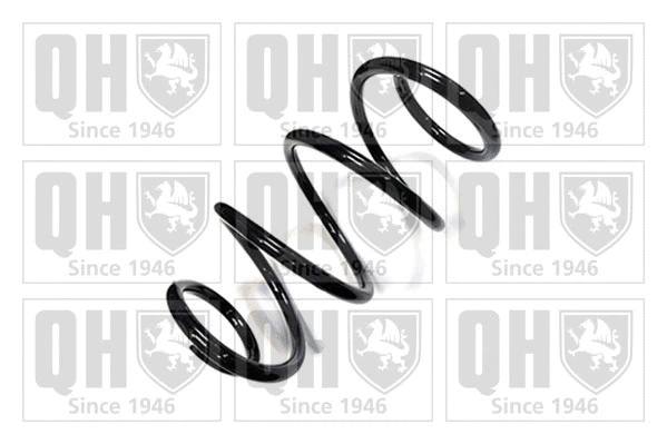 Suspension Spring (QCS5020)
