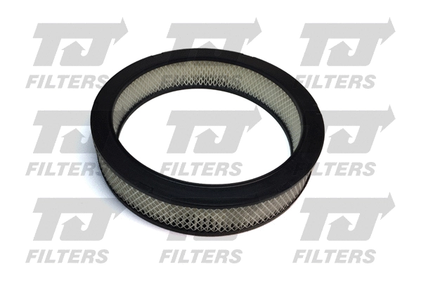 Air Filter (QFA0329)