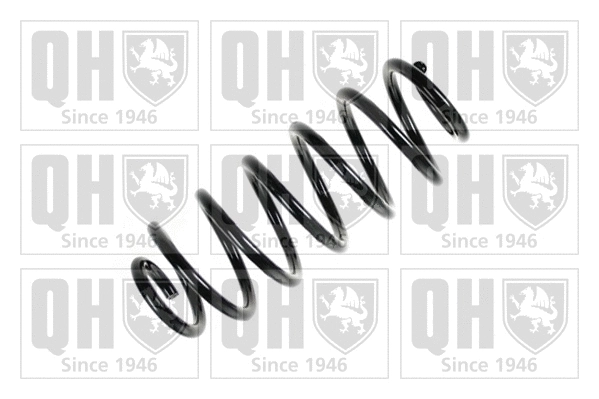 Suspension Spring (QCS8112)