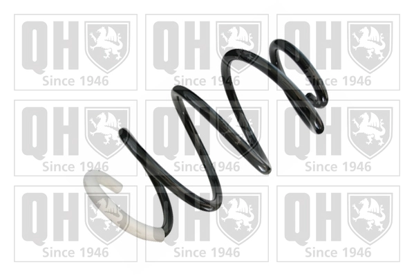 Suspension Spring (QCS8543)