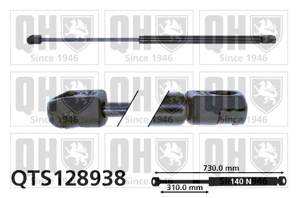 Gas Spring, bonnet (QTS128938)