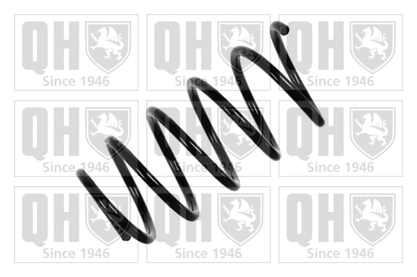 Suspension Spring (QCS6468)