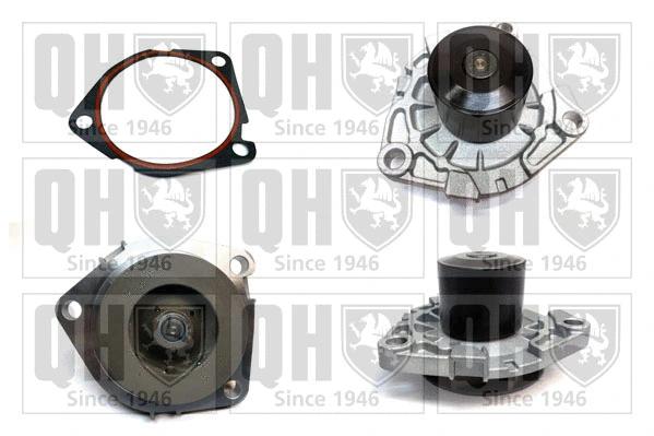 Water Pump, engine cooling (QCP3777)