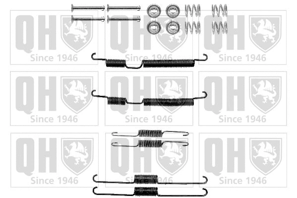 Accessory Kit, brake shoes (BFK452)