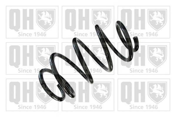 Suspension Spring (QCS7576)