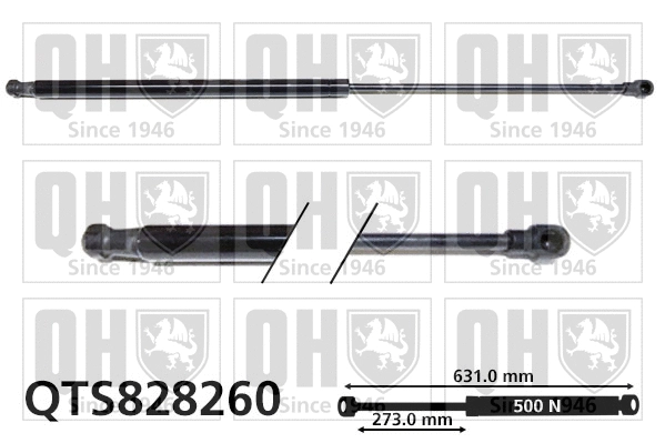 Gas Spring, boot/cargo area (QTS828260)
