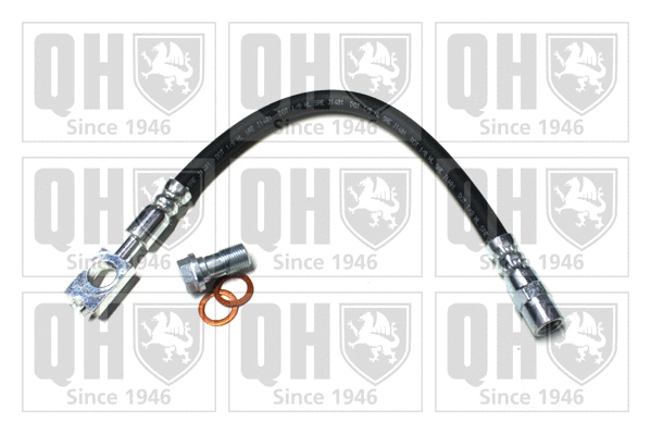 Brake Hose (BFH5696)