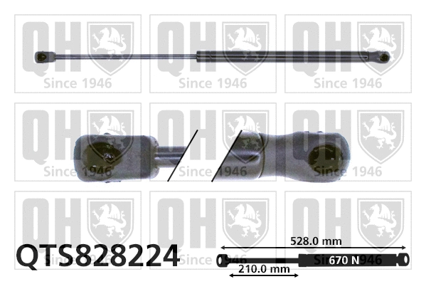 Gas Spring, boot/cargo area (QTS828224)