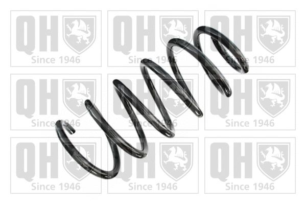 Suspension Spring (QCS6871)