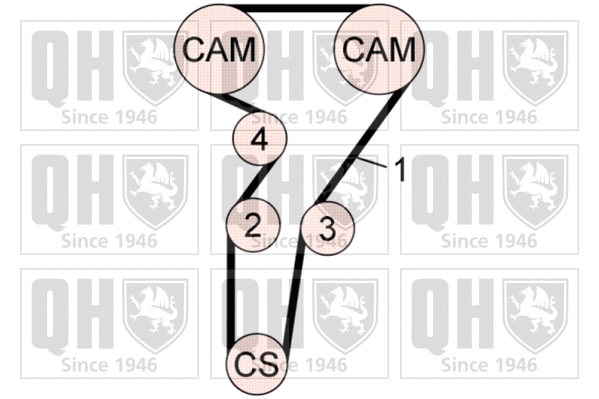 Timing Belt Kit (QBK790)