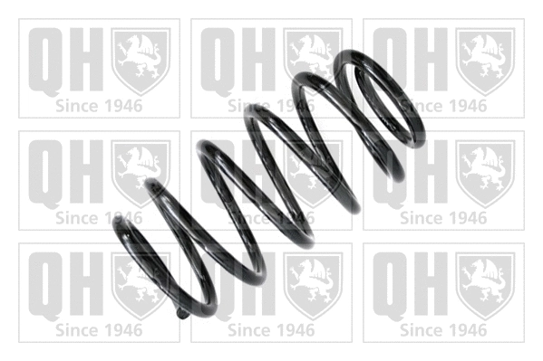 Suspension Spring (QCS5834)