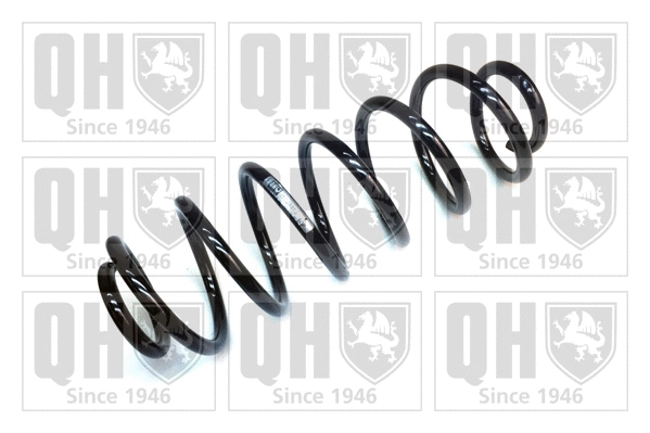Suspension Spring (QCS6413)