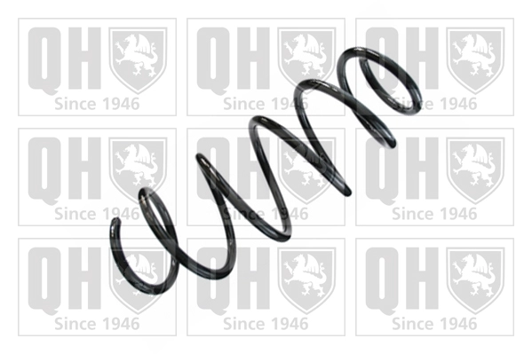 Suspension Spring (QCS8323)