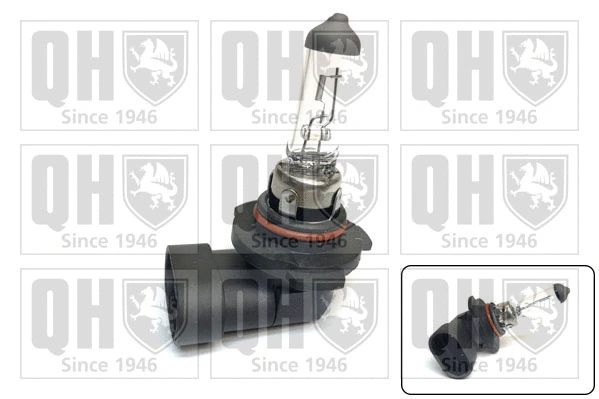 Bulb (QBL710)