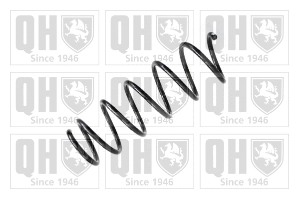 Suspension Spring (QCS6668)