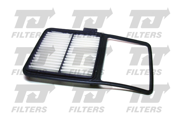 Air Filter (QFA0692)