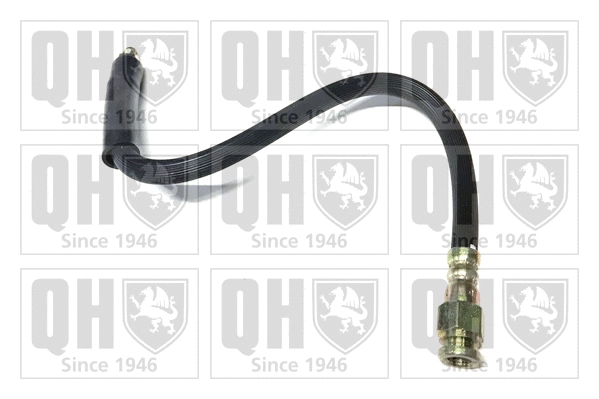 Brake Hose (BFH4910)