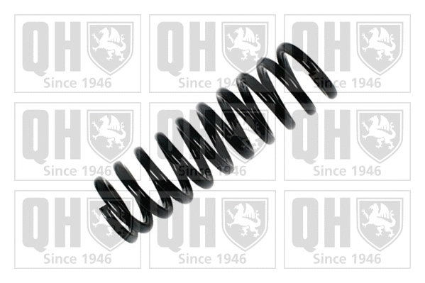 Suspension Spring (QCS6878)