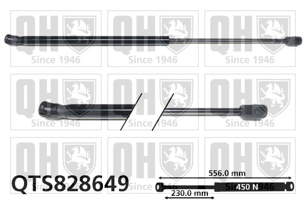 Gas Spring, boot/cargo area (QTS828649)