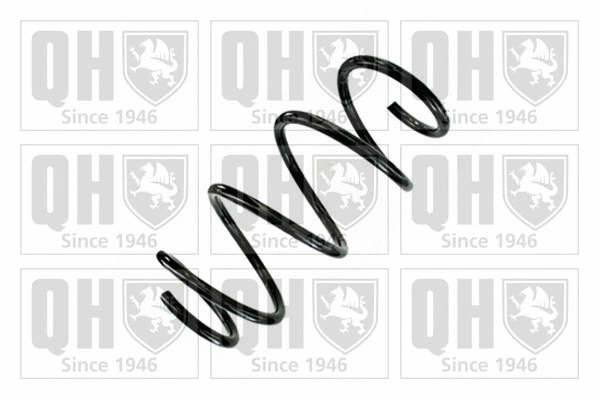 Suspension Spring (QCS9101)