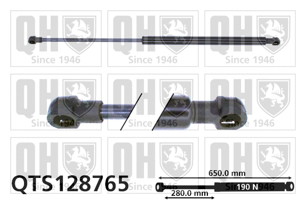 Gas Spring, bonnet (QTS128765)