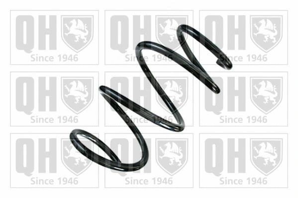 Suspension Spring (QCS8743)
