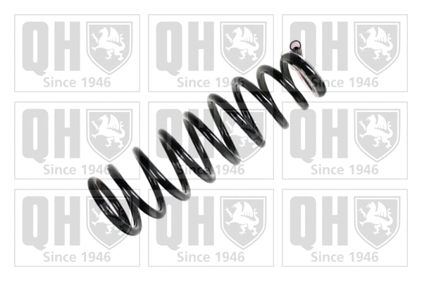 Suspension Spring (QCS6832)