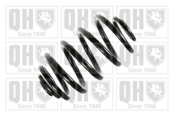 Suspension Spring (QCS5999)