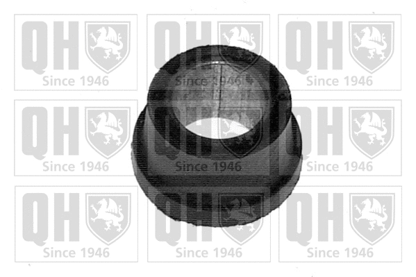 Mounting, control/trailing arm (EMS1662)