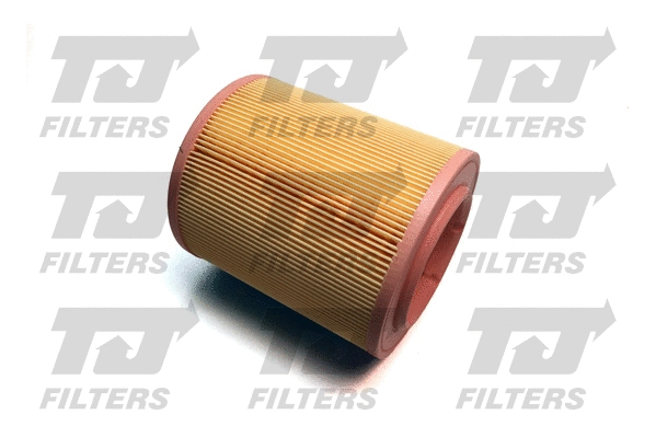 Air Filter (QFA0343)