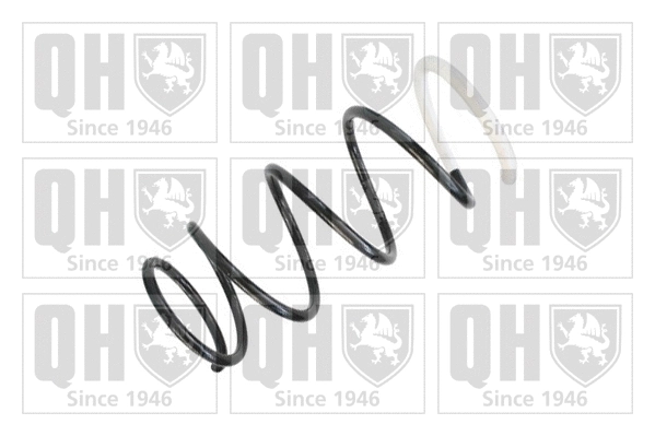Suspension Spring (QCS6268)