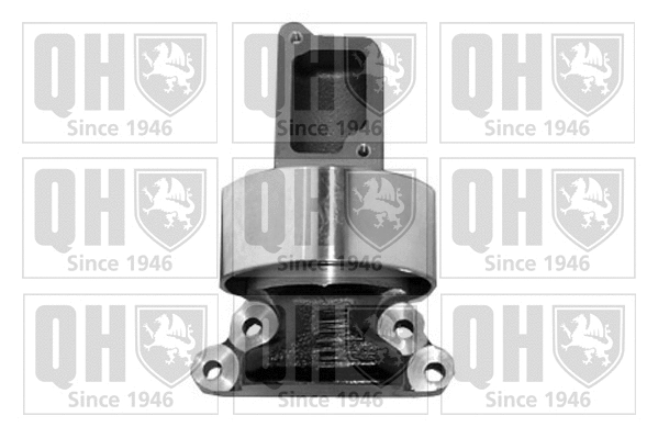 Deflection/Guide Pulley, timing belt (QTT834)