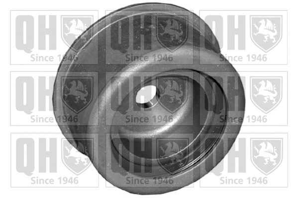 Deflection/Guide Pulley, timing belt (QTT979)