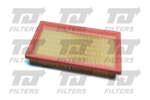 Air Filter (QFA0824)