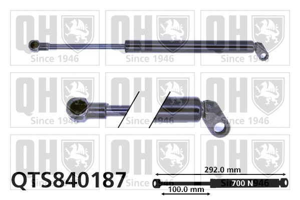 Gas Spring, boot/cargo area (QTS840187)