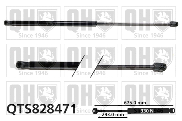 Gas Spring, bonnet (QTS828471)